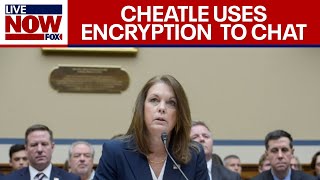 Secret Service Cheatle admits to using encryption devices to communicate  LiveNOW FOX [upl. by Charmion]