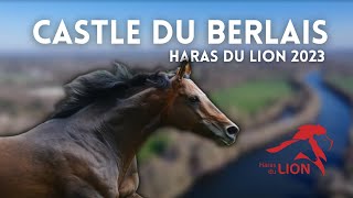 Castle du Berlais  étalon du Haras du Lion en 2024 [upl. by Ennairak418]