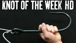 Tie Fishing Hooks Easily with the Modified Clinch Knot  ITS Knot of the Week HD [upl. by Temple545]