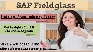 SAP Fieldglass Demo  SAP Fieldglass Overview  SAP Fieldglass Tutorial [upl. by Hildebrandt153]