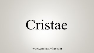 How To Say Cristae [upl. by Sirrep]