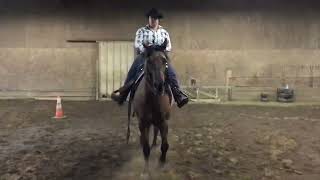 RayLena Bevington amp Katori Dunit Slick Horsemanship [upl. by Christean]