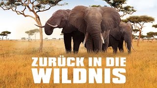 Zurück in die Wildnis  Trailer HD Deutsch  German [upl. by Southard819]