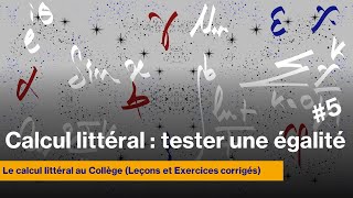 Comment tester une égalité dans un calcul littéral [upl. by Kerwon834]