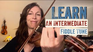 Best Fiddle Tunes for Intermediate Players Learn FlopEared Mule [upl. by Wershba]