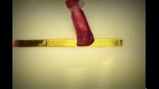 24K Gold Plating Solution Demo  How to Gold Plate Copper Effectively [upl. by Perkoff400]