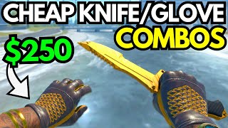 BEST CHEAP CS2 KNIFE amp GLOVE COMBOS in 2024 BUDGET KNIFE  GLOVES COMBO Under 350 [upl. by Eelamme]