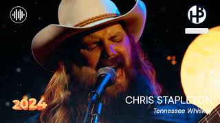 BLUES HITS 2024  CHRIS STAPLETON  Tennessee Whiskey [upl. by Ahtela507]