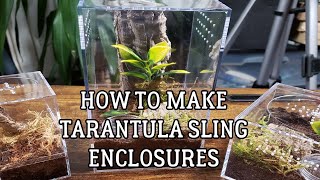 How to Make Tarantula Sling Enclosures Cheap DIY display enclosures for tarantulas [upl. by Norina860]