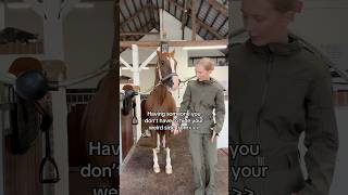 🤪🥳🤣 equestrian horse horses pony pferde cheval hest trending funny horseriding riding [upl. by Zina]