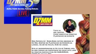 Plantacion de Sikwate LIVE at Usapang Agrikultura sa Kabukiran DZMM 630 [upl. by Niwri]