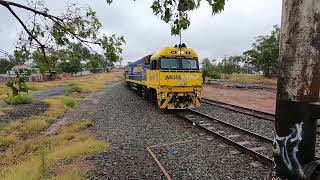 NR77 quotAK Carsquot at Condobolin NSW Fri 05th Apr 2024 [upl. by Kennan726]