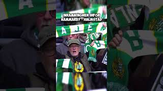 INRAMNINGEN INFÖR HAMMARBY  HALMSTAD hammarby bajen allsvenskan halmstad [upl. by Arrait648]