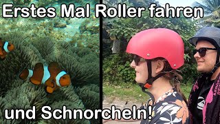 Aller erstes Mal Rollerfahren in Südostasien Siquijor ein ruhiges Paradies  Weltreise Vlog 073 [upl. by Esorbma887]