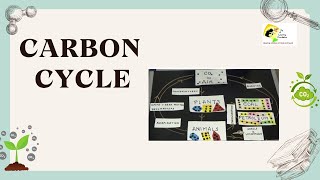 Carbon Cycle Explained [upl. by Cristi]