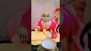 Golu Babu Ki Sewa laddugopal ytshorts [upl. by Aicetel451]