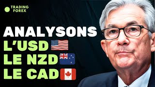 ANALYSE FONDAMENTALE COMPLÈTE DE LUSD CAD NZD  TRADING FOREX [upl. by Konopka465]