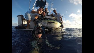 Spearfishing on blue Waters for Big Tunas [upl. by Emmy]