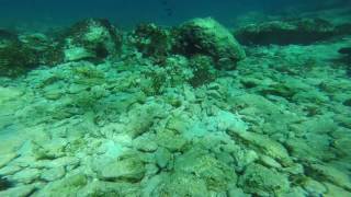 Snorkeling at Moni Island in Aegina Saronic Islands Greece August 2016 [upl. by Charisse618]