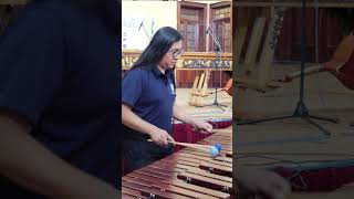 MARIMBA BÁSICOS [upl. by Moitoso]