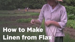 How to Make Linen from Flax [upl. by Noret]