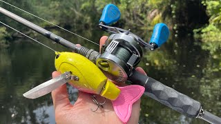 Paddleboard Fishing A Secret Florida River With This Crazy Lure [upl. by Adnalu]