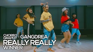 위너 Winner  Really Really  Gangdrea Choreography 창작안무 [upl. by Convery]