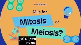 Mitosis vs meiosis in 3minutes [upl. by Siclari]