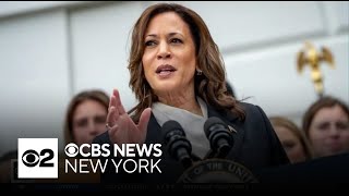 Kamala Harris secures Democratic nomination in virtual vote [upl. by Launam]