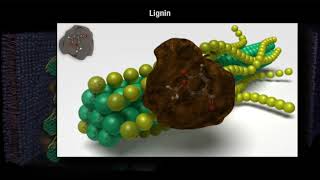 How Decomposition Works Part 1 [upl. by Rennerb]