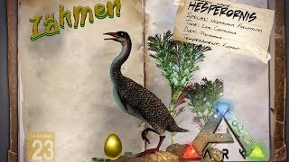 ARK‬ Survival Evolved GUIDEDeutsch  Hesperornis zähmen amp das goldene Ei  Patch 258 [upl. by Lupien]