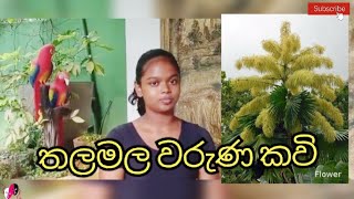 OL dancing practical  ජන ගායනා  තලමල වරුණ කවි [upl. by Harvie470]