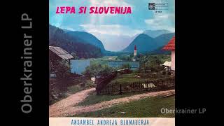 Ansambel Andreja Blumauerja  LEPA SI SLOVENIJA  1967 [upl. by Garvin]