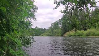 The Clackamas River [upl. by Gnuy]