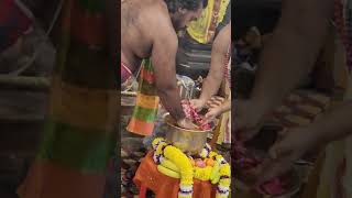 Bhoga Srinivasa is ceremonially immersed in holy Ganga water during the Avabruta Snanam [upl. by Gardia365]