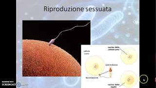 Riproduzione e cromosomi [upl. by Stag]