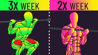 Training a Muscle 2x vs 3x a Week for Growth New Study [upl. by Wengert]