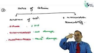 Biochemical mechanisms of cell injury  By Dr Sushant Soni  Pathology [upl. by Eneleuqcaj]