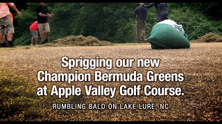 Apple Valley Golf Course Sprigged for new Champion Bermuda Greens [upl. by Raynor]