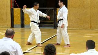 Sensei Masao Kagawa explaining different points in kata jion [upl. by Oine]