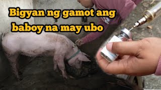 Mabisang gamot sa baboy na may ubo [upl. by Modeste802]