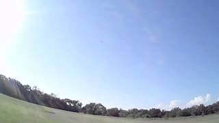 Flying my Aeroworks 80 inch Profile Extra RC plane [upl. by Streeter]