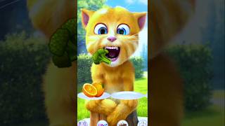 My Talking Ginger Fun funny Cat Eating shorts Video 🥦🥦🥦🥦 shorts [upl. by Dixon]