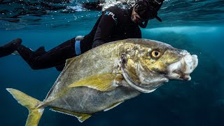 Cave dive in the Azores for White Trevally SPEARFISHING RAW CLIPS [upl. by Sida]