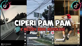 DJ CIPERI PAM PAM X BBHC MENGKANE VIRAL TIKTOK [upl. by Odnanref]