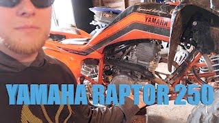 Yamaha Raptor 250 oil change [upl. by Seibold]