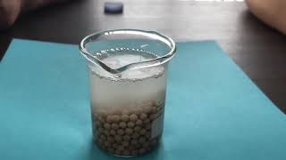 Molecular Sieve Adsorbent Test  Avant Material [upl. by Kushner]