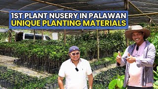 1st Plant Nursery in Palawan  Unique Planting Materials [upl. by Tod]