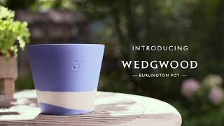 Introducing The Wedgwood Burlington Pot [upl. by Yasnyl]