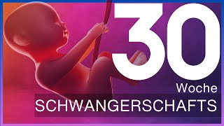 30Schwangerschaftswoche Was du jetzt über dein Baby wissen solltest  Update 30 SSW – SSW30 [upl. by Lorn]